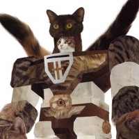 Voltron Cat Spotlight